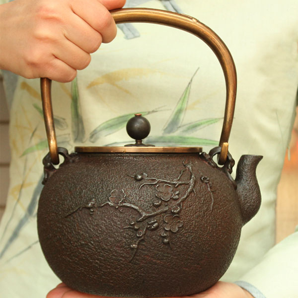 5Cgo  37991586579 日本老鐵壺無塗層手工南部生鑄鐵器泡茶具功夫煮茶燒水熱水壺  LAY09110