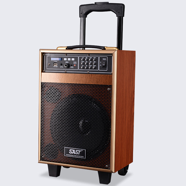 5Cgo 45737832508 廣場舞音響8寸戶外手提拉杆大功率音箱木質電瓶音箱移動音響充電式 WXP99200