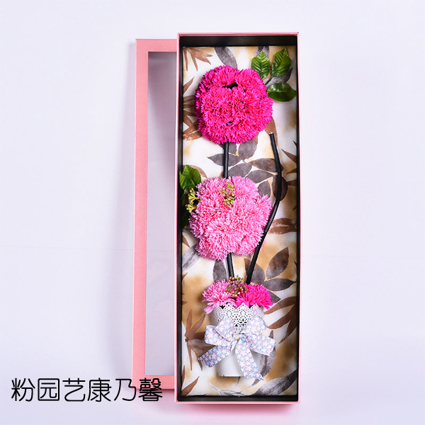 5Cgo 521064171728 母親節禮物康乃馨肥皂花束香皂花送媽媽生日禮物2朵+禮盒  LYP96000