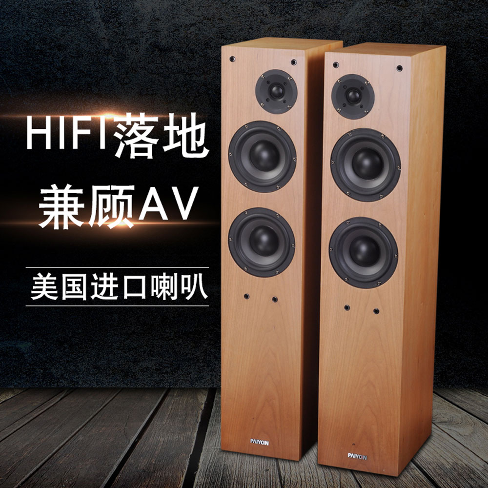 5Cgo 3172546843 派揚 2.5 落地 AV 影院前置 HI-FI 發燒主音箱雙低高保真音響 PY29520