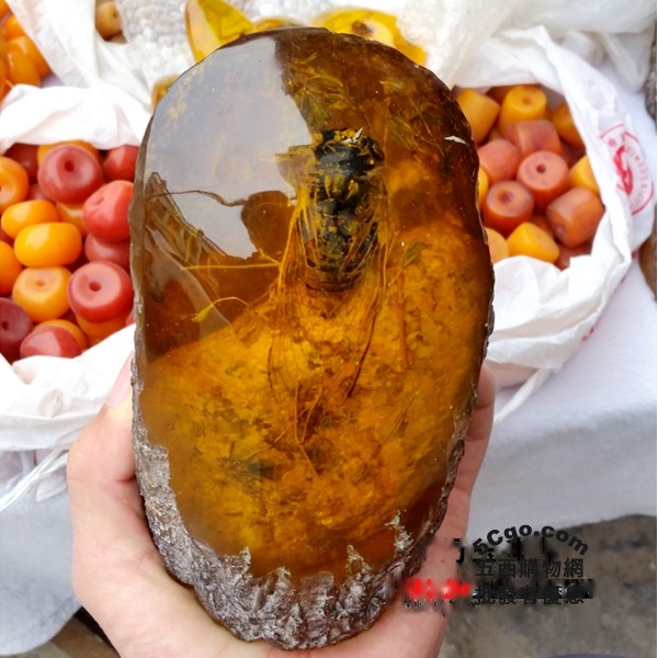 5Cgo 528248183159 仿真樹脂仿琥珀蜜蠟原石蟲珀擺飾品知了蟬標本工藝辦公室客廳玄關蟲蟲金龜子蠍子蜜蜂 任二個免運 AGL18000
